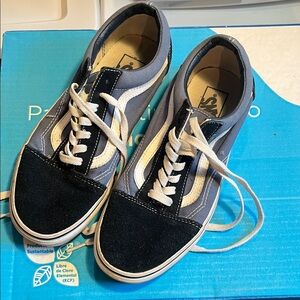 Vans Navy and White Canvas Shoes